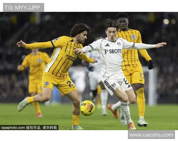 曼城宣布签下新球星，引发球迷狂热追捧