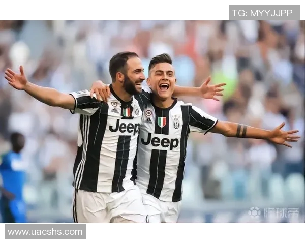 赛事黑马崛起之路揭秘从默默无闻到耀眼夺冠的传奇历程